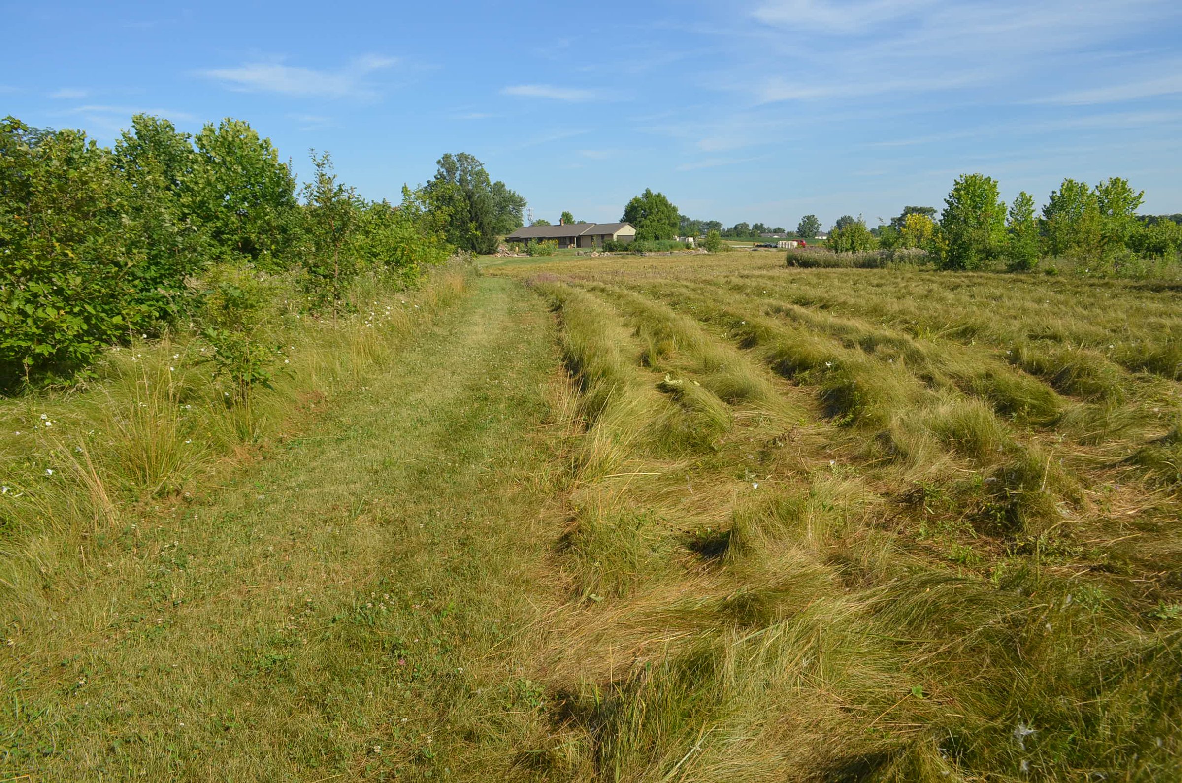 Property photo 14 - REAL ESTATE AUCTION - 26+/- ACRES IN 3 TRACTS IN SOUTHWEST ALLEN COUNTY, INDIANA